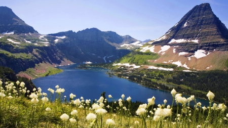 Lovely lake view - nice, slope, lake, sky, landscape, shore, lovely, peak, rocks, view, pretty, beautiful, waters, flowers, grass, cliffs