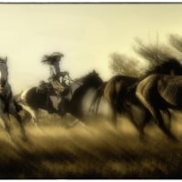 Cowgirls with flying hair