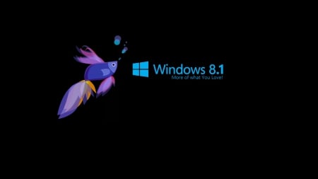 Windows 8.1 - windwos 8, windows 8 1, windows, windows logo