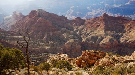 wonderful hills inside a canyon - hills, tree, haze, canyon