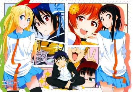 Nisekoi - seishirou tsugumi, shuu maiko, raku ichijou, nisekoi, kosaki onodera, false love, chitoge kirisaki, marika tachibana, ruri miyamoto