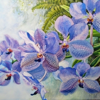 Blue Vanda