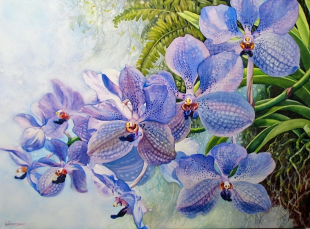 Blue Vanda - pretty, blue, beautiful, beauty, lovely, petals, leaves, flowers, garden, orchids, nice, art