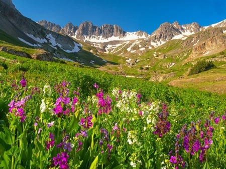 Mountain paradise - pretty, summer, landscape, grass, spring, mountain, flowers, cliffs, paradise, sky, greenery, carpet, beautiful, snowy, lovely, freshness, peaks, wildflowers, nature, rocks