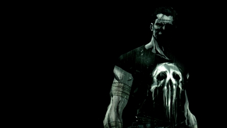 THE PUNISHER