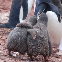 Friend hug