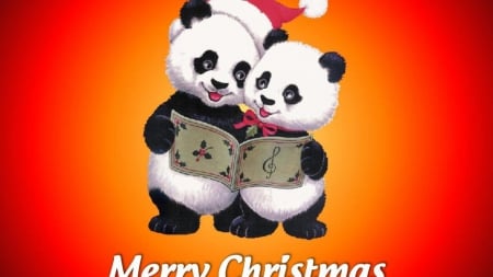 CHRISTMAS PANDA'S - PANDA, WALLPAPER, SONG, BEARS, CHRISTMAS