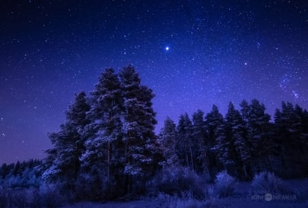 under_the_starry_sky - night, sky, starry night, star