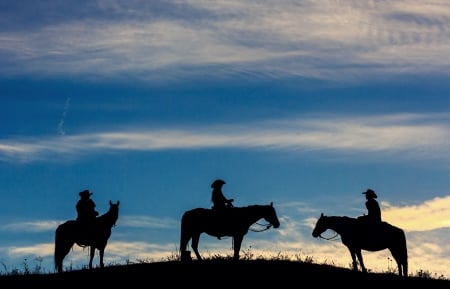 Three - cowboy, horse, horses, sky