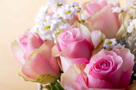 Soft Bouquet - daisies, roses, beautiful, soft, pink roses, color, bouquet, pastel