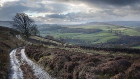 country road along a stone wall on a hillside - road, valley, wall, hills, stones, fields