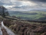 country road along a stone wall on a hillside