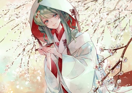 ~Beautiful Yuki Miku~ - flowers, vocaloid, yuki miku, anime, cherry blossoms, beautiful, hatsune miku, blue eyes