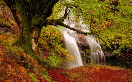 Forest waterfall - autumn, cascades, trees, falling, water, waterfall, lovely, serenity, calm, nature, fall, beautiful, leaves