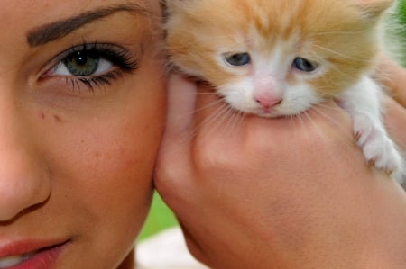 Friends - hat, pretty, cat face, beautiful, beauty, lovely, paws, sweet, cat, kitten, cute, cats, face, sleeping, animals, kitty