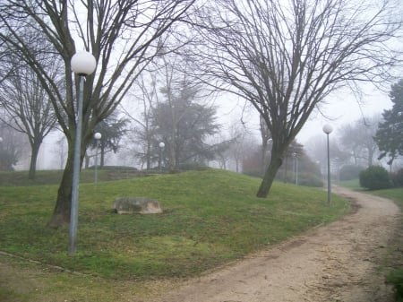 brume - brume, trees, winter, nature, tracos