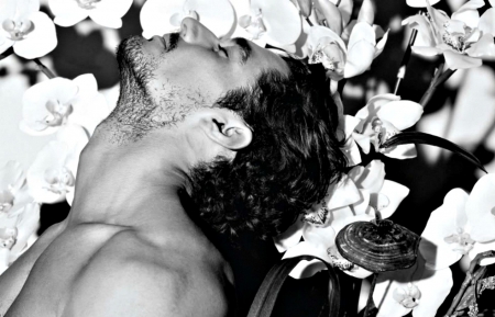 David Gandy - white, male, man, orchid, david gandy, black, model, flower