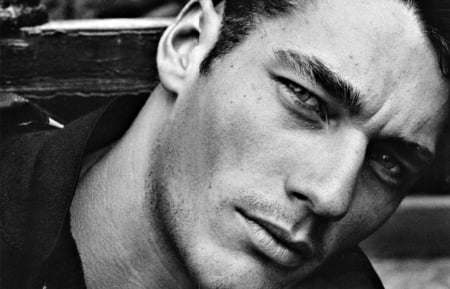 David Gandy - male, black, white, model, David Gandy, man