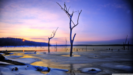 Lake Clinton - wallpaper, forest, frozen, frost, frosted, tree, nature, sunset, frosty, mountains, winter, landscape, hd, sun, lake, reflection, sunlight, scene, ice, sunrise, dawn