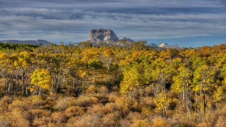 fantastic savanna forest hdr - clouds, savanna, autumn, hdr, forest, mountain