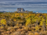 fantastic savanna forest hdr