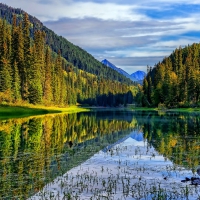 Duffey lake provincial park British Columbia