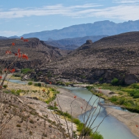 river in big bend national park in texas