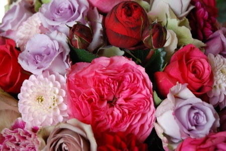 Bouquet - bouquets, dahlia, roses, bouquet, flowers, dahlias, rose, flower