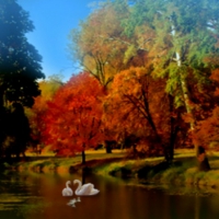 ~*~ Autumn lake ~*~