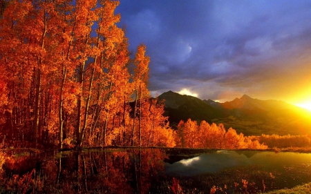 Colors of the nature - nature, lake, tree, autumn