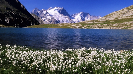 *** Lake and mountains *** - flowers, lake, mountains, nature