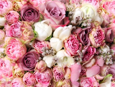 Flowers - many, roses, bouquets, bouquet, rose, nature, pink, pink flower, flowers, pink flowers, flower