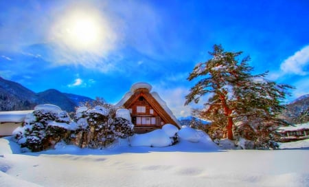 Winter - winter, home, snow, sun