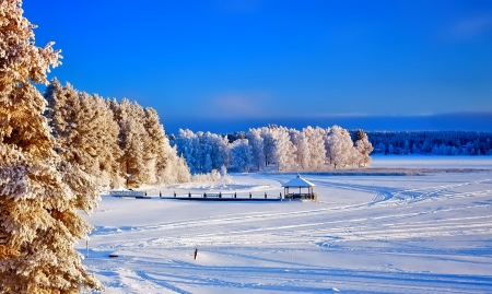 Winter - snowflakes, splendor, snow, photo, sky, sun, trees, winter, beautiful, photography, lovely, tree, wonderful, ice, nature, snowflake, cold