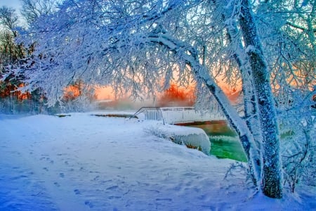 Winter - snowflake, beautiful, photography, tree, wonderful, nature, cold, winter, snowflakes, photo, sun, sky, lovely, splendor, ice, trees, snow