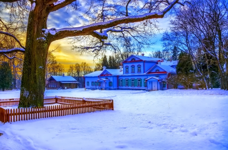 Winter - sky, trees, photography, sun, wonderful, cold, tree, ice, snowflake, winter, snowflakes, lovely, nature, snow, beautiful, splendor, photo