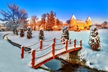 Winter - sky, trees, photography, sun, wonderful, cold, tree, ice, snowflake, winter, snowflakes, lovely, nature, snow, beautiful, splendor, photo