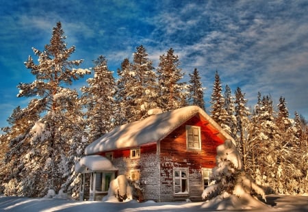 Winter - snow, winter, forest, home