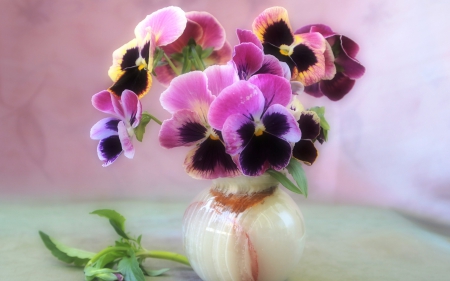 Pretty and soft - petal, bouquet, still life, flower