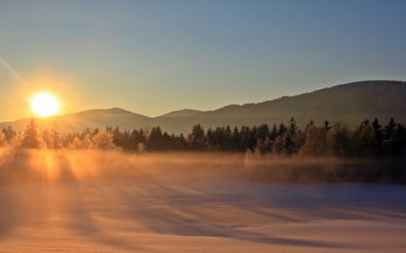 *** Winter sunset *** - snow, winter, sunset, nature