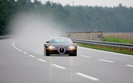 bugatti-veyron-in-rain - veyron, bugatti, rian, road