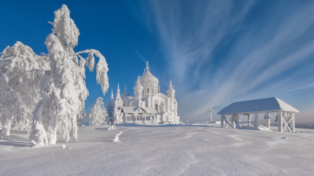 Splendor - clouds, trees, winter, snowy, snow, landscape, winter splendor, winter time, nature, sky