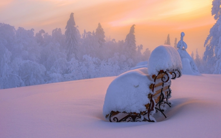 Winter Time - sky, landscape, trees, winter, bench, sunset, nature, view, winter time, clouds, snow, splendor, winter splendor, snowy, sunrise