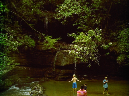 waterfall - waterdown, rock, trees, cataract