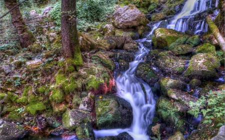 Forest Waterfall - Forest, Rocks, Nature, Waterfall