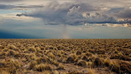 rain clouds over a desert brush field - desert, brushes, clouds, rain