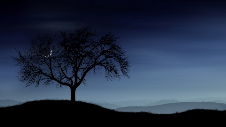 quarter moon peeking through a tree at night - moon, hills, night, silhouettes, tree