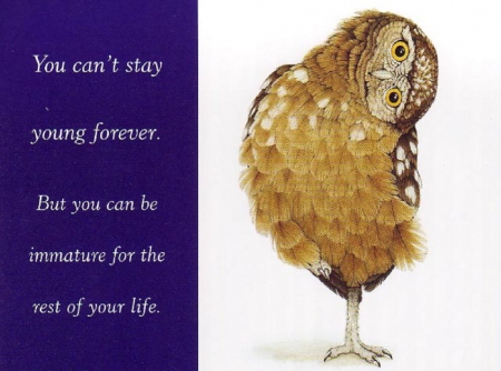 YOU CAN'T STAY YOUNG - stay, young, owl, cant