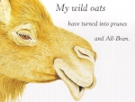 WILD OATS