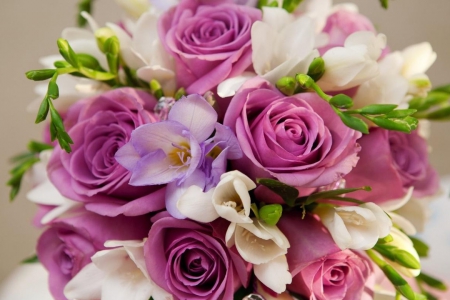 Bouquet - nature, roses, bouquets, flowers, bouquet, rose, flower